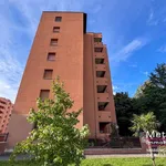 Rent 2 bedroom apartment of 45 m² in Milano