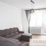 Pronájem bytu 2+1 56m²