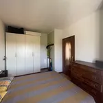 Rent 2 bedroom apartment of 65 m² in Verona