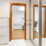 Rent 1 bedroom apartment in Prague