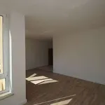 Rent 2 bedroom apartment of 53 m² in Leipzig