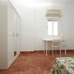 Rent 6 bedroom apartment in Seville