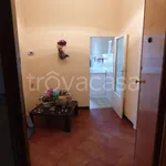 Rent 5 bedroom apartment of 120 m² in Jesi