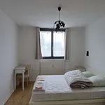 Rent 2 bedroom apartment of 53 m² in Dunkerque