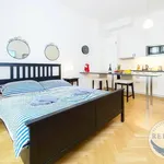 Rent 1 bedroom apartment in Praha 3