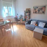 Rent 2 bedroom apartment of 65 m² in Pavia