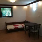 Rent 1 bedroom apartment of 30 m² in Мараша