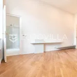 Rent 2 bedroom apartment of 110 m² in Zagreb