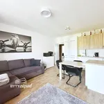 Rent 3 bedroom apartment in Plzeň-jih