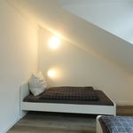 Bright, beautiful flat located in Hilden, Hilden - Amsterdam Apartments for Rent