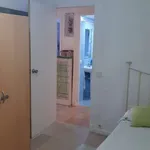 Rent a room in Alicante