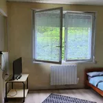 Rent 1 bedroom apartment of 20 m² in Sochaux