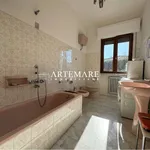 Affitto 6 camera casa di 150 m² in Pietrasanta