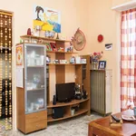 Rent 1 bedroom apartment in Turin