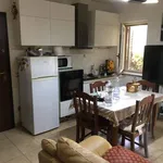 Rent 2 bedroom apartment of 50 m² in Montauro