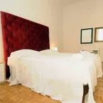 Rent 1 bedroom apartment in Florence