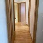 Rent 3 bedroom apartment of 78 m² in budapest