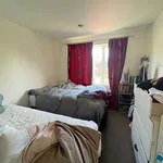 Rent 4 bedroom house in Christchurch