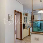 Rent 1 bedroom apartment of 55 m² in Borghetto Santo Spirito