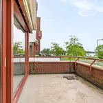 Rent 6 bedroom house of 197 m² in Rotterdam