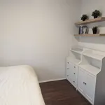 Rent 6 bedroom apartment in Montreal