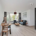 Rent 3 bedroom apartment of 66 m² in Stadshart