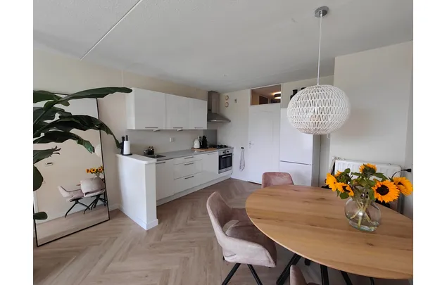 Huur 3 slaapkamer appartement van 66 m² in Arnhem