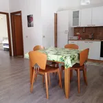 Rent 3 bedroom house of 66 m² in Castelvetrano