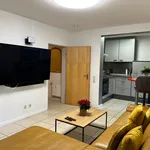 Rent 2 bedroom apartment of 60 m² in Trier