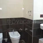 Rent 3 bedroom apartment of 110 m² in Torino