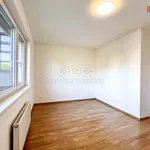 Rent 3 bedroom apartment of 73 m² in Praha