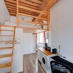 Rent 1 bedroom apartment of 300 m² in Lyon