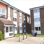 Rent 2 bedroom flat in East Of England