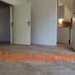 Rent 3 bedroom apartment of 49 m² in Havířov