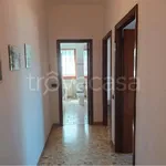 Rent 3 bedroom apartment of 100 m² in Frosinone