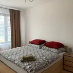 Pronajměte si 1 ložnic/e byt o rozloze 60 m² v Prague