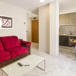 Rent 1 bedroom apartment of 484 m² in Valencia