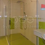 Pronajměte si 1 ložnic/e dům o rozloze 412 m² v Prague