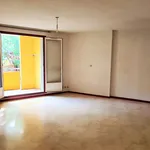 Appartement de 32 m² avec 1 chambre(s) en location à amelie les bains palalda