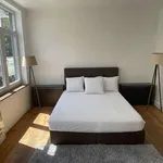 Rent 1 bedroom apartment in brussels