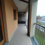 Rent 1 bedroom apartment of 100 m² in Milan