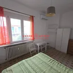 Rent 1 bedroom apartment of 40 m² in Pavia