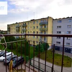 Rent 4 bedroom apartment of 68 m² in Krakow