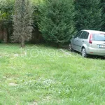 Rent 2 bedroom apartment of 74 m² in Padova