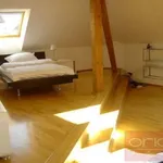 Rent 1 bedroom apartment of 200 m² in Prague