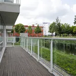 Rent 3 bedroom apartment of 87 m² in Zoetermeer