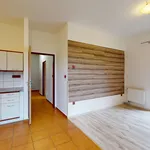 Pronájem byty 2+kk, 40 m2 - Chýnov