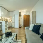 Rent 1 bedroom apartment of 27 m² in Łódź