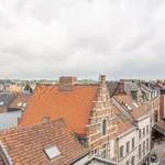 Rent 1 bedroom apartment in Leuven