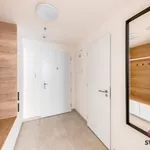 Rent 1 bedroom apartment in Prague